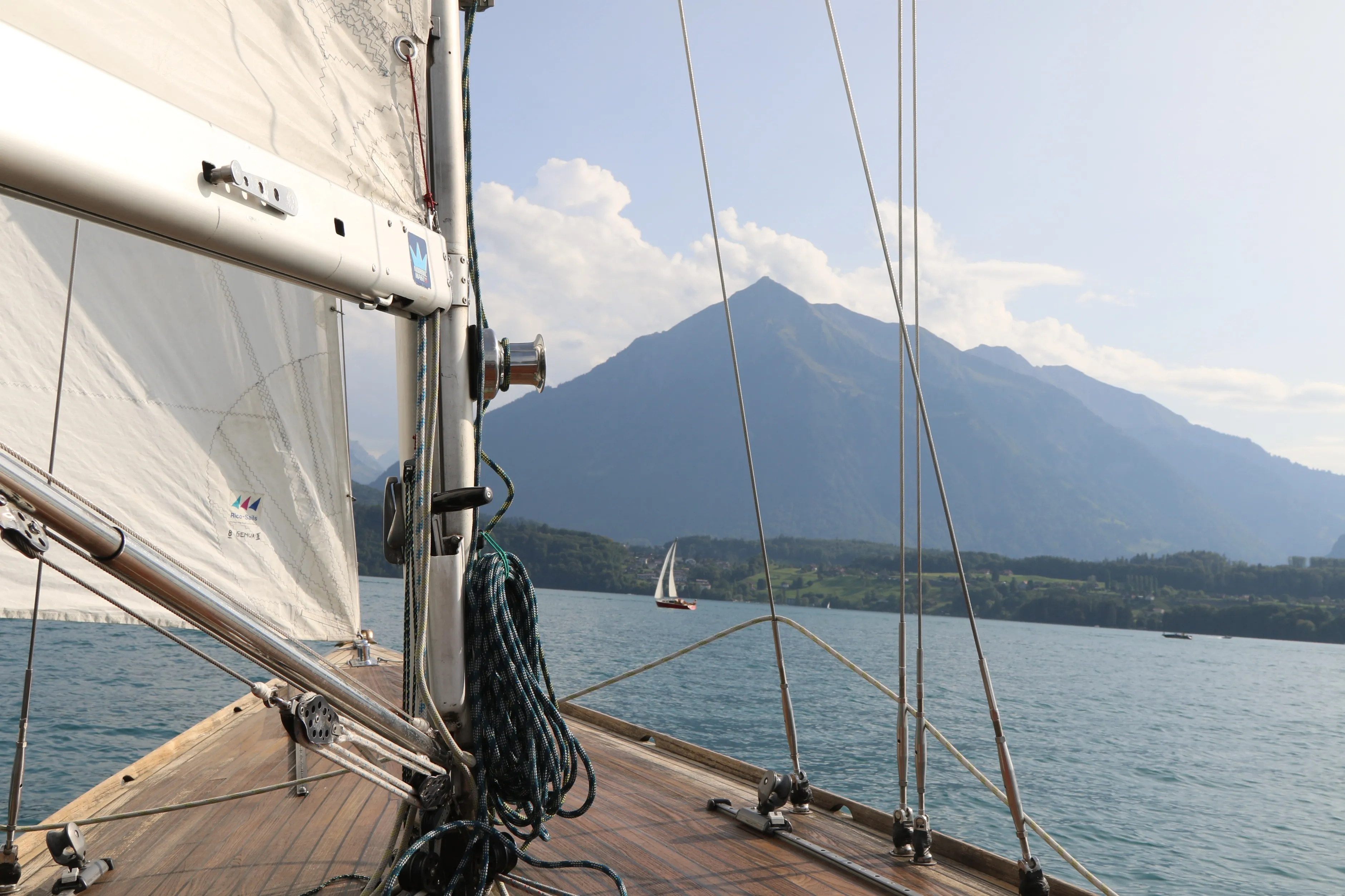 driving sailing boat